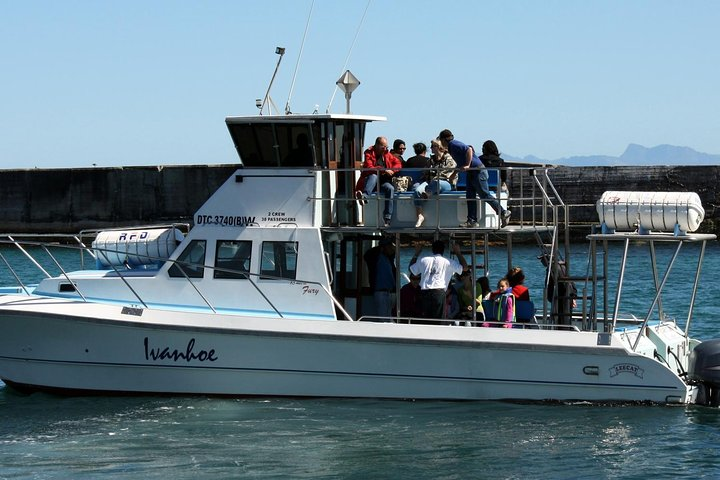 Big 5 Sea Safari in Walker Bay from Gansbaai - Photo 1 of 8